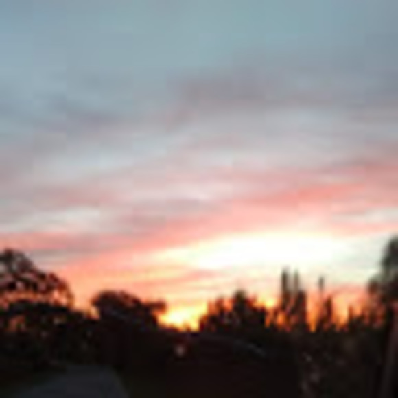 Meet your Posher, Makayla - Picture 1 of 1